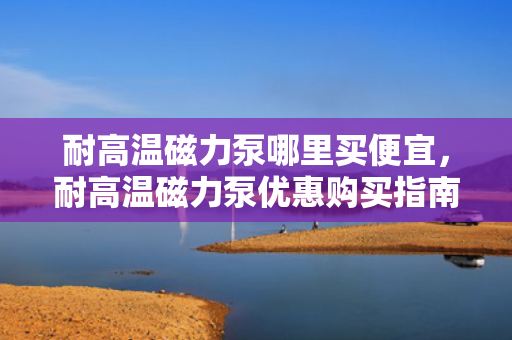 耐高温磁力泵哪里买便宜，耐高温磁力泵优惠购买指南，哪里买更便宜？