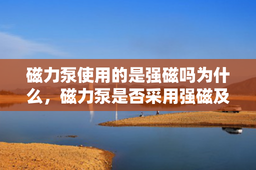 磁力泵使用的是强磁吗为什么，磁力泵是否采用强磁及其原因解析