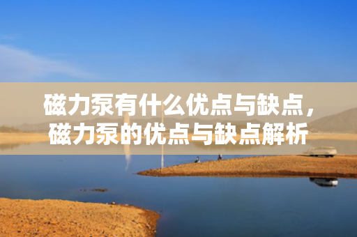 磁力泵有什么优点与缺点，磁力泵的优点与缺点解析