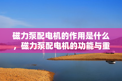 磁力泵配电机的作用是什么，磁力泵配电机的功能与重要性解析