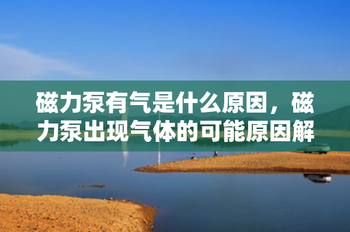 磁力泵有气是什么原因，磁力泵出现气体的可能原因解析