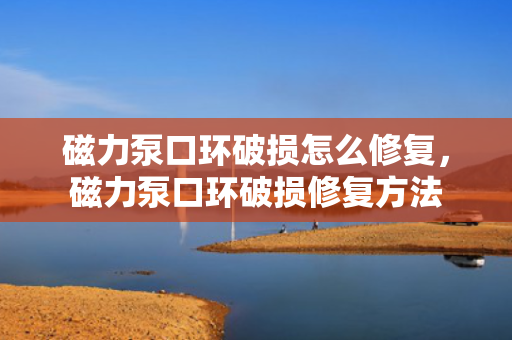 磁力泵口环破损怎么修复，磁力泵口环破损修复方法