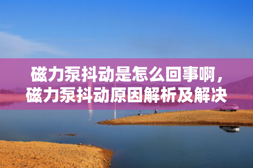 磁力泵抖动是怎么回事啊，磁力泵抖动原因解析及解决方法