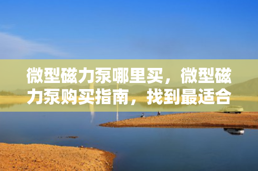 微型磁力泵哪里买，微型磁力泵购买指南，找到最适合你的购买渠道
