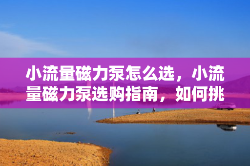 小流量磁力泵怎么选，小流量磁力泵选购指南，如何挑选适合的产品