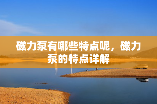 磁力泵有哪些特点呢，磁力泵的特点详解