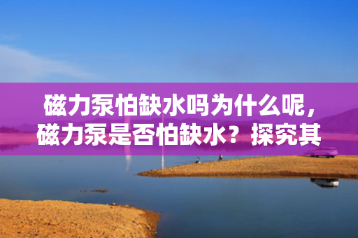 磁力泵怕缺水吗为什么呢，磁力泵是否怕缺水？探究其原因