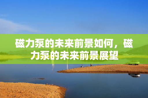 磁力泵的未来前景如何，磁力泵的未来前景展望
