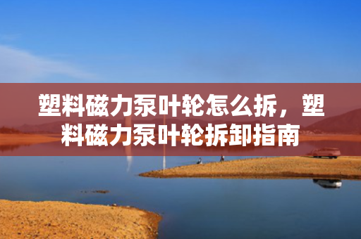 塑料磁力泵叶轮怎么拆，塑料磁力泵叶轮拆卸指南