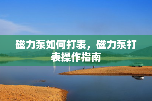 磁力泵如何打表，磁力泵打表操作指南