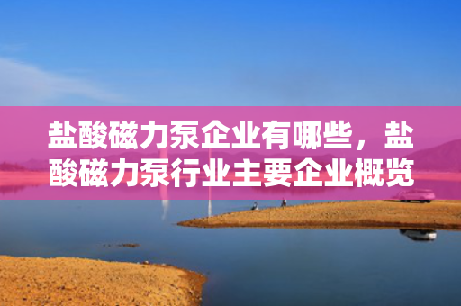 盐酸磁力泵企业有哪些，盐酸磁力泵行业主要企业概览