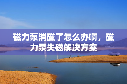 磁力泵消磁了怎么办啊，磁力泵失磁解决方案