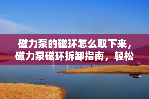 磁力泵的磁环怎么取下来，磁力泵磁环拆卸指南，轻松取下磁环的方法