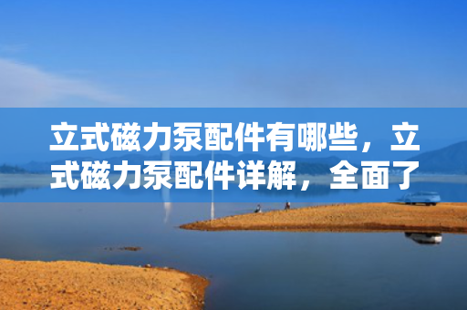 立式磁力泵配件有哪些，立式磁力泵配件详解，全面了解必备组件