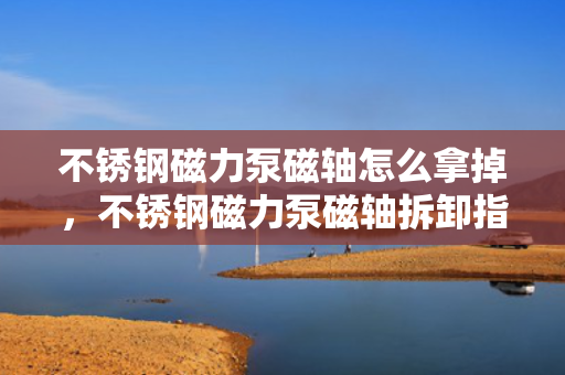 不锈钢磁力泵磁轴怎么拿掉，不锈钢磁力泵磁轴拆卸指南
