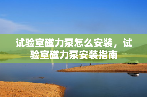 试验室磁力泵怎么安装，试验室磁力泵安装指南