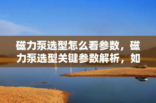 磁力泵选型怎么看参数，磁力泵选型关键参数解析，如何准确选择合适的磁力泵
