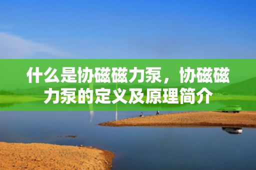 什么是协磁磁力泵，协磁磁力泵的定义及原理简介
