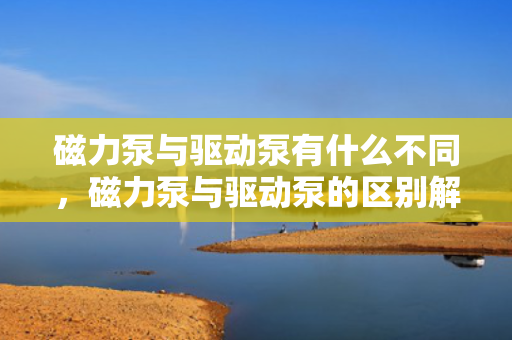 磁力泵与驱动泵有什么不同，磁力泵与驱动泵的区别解析