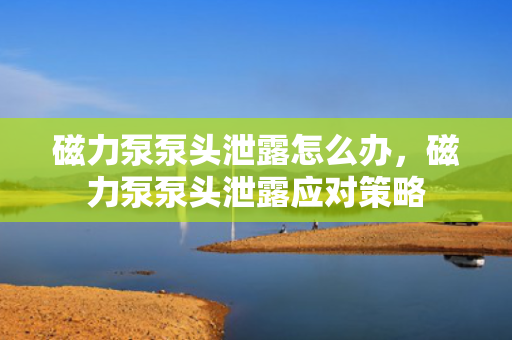 磁力泵泵头泄露怎么办，磁力泵泵头泄露应对策略