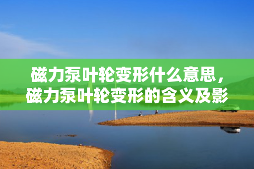 磁力泵叶轮变形什么意思，磁力泵叶轮变形的含义及影响解析