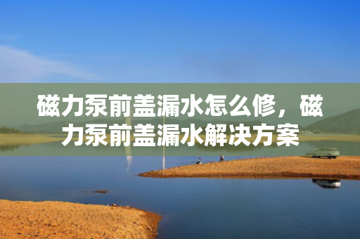 磁力泵前盖漏水怎么修，磁力泵前盖漏水解决方案