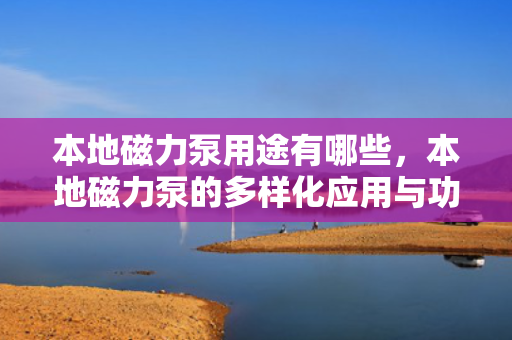 本地磁力泵用途有哪些，本地磁力泵的多样化应用与功能解析
