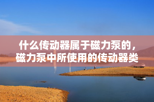 什么传动器属于磁力泵的，磁力泵中所使用的传动器类型