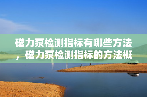 磁力泵检测指标有哪些方法，磁力泵检测指标的方法概述