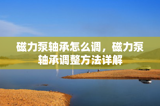 磁力泵轴承怎么调，磁力泵轴承调整方法详解