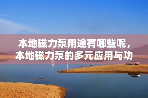 本地磁力泵用途有哪些呢，本地磁力泵的多元应用与功能解析