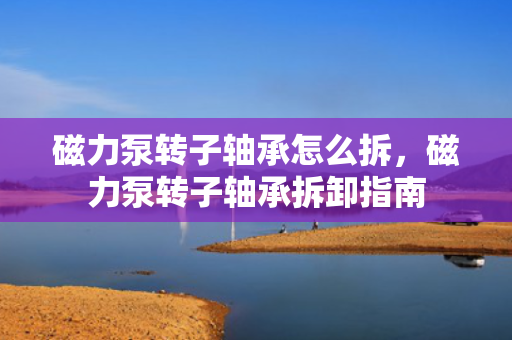磁力泵转子轴承怎么拆，磁力泵转子轴承拆卸指南