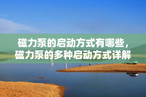 磁力泵的启动方式有哪些，磁力泵的多种启动方式详解