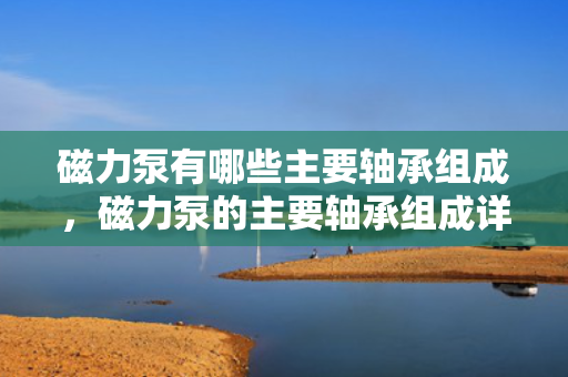 磁力泵有哪些主要轴承组成，磁力泵的主要轴承组成详解