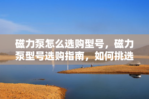 磁力泵怎么选购型号，磁力泵型号选购指南，如何挑选适合的磁力泵型号