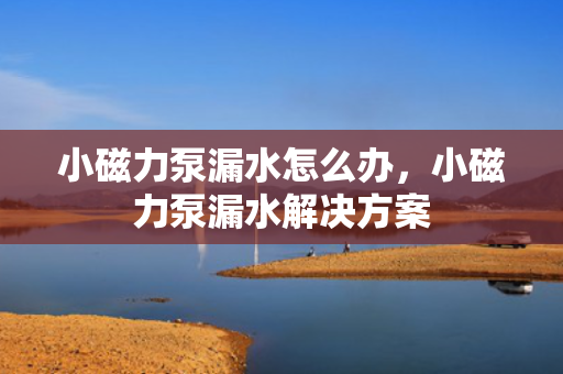 小磁力泵漏水怎么办，小磁力泵漏水解决方案