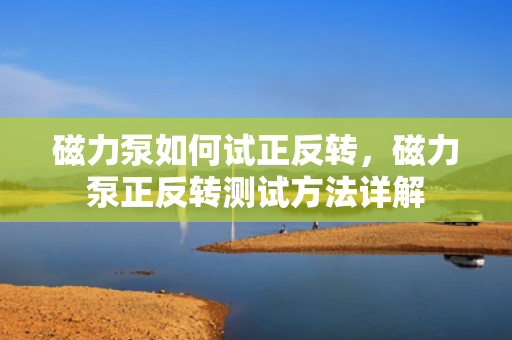 磁力泵如何试正反转，磁力泵正反转测试方法详解