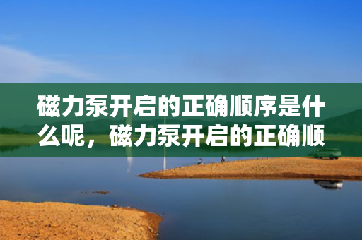 磁力泵开启的正确顺序是什么呢，磁力泵开启的正确顺序详解