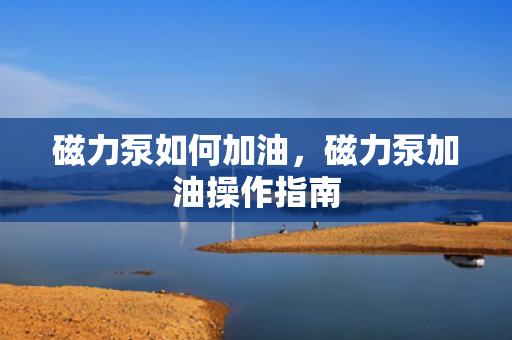 磁力泵如何加油，磁力泵加油操作指南