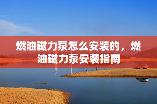 燃油磁力泵怎么安装的，燃油磁力泵安装指南