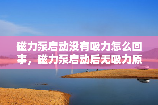 磁力泵启动没有吸力怎么回事，磁力泵启动后无吸力原因解析