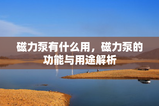 磁力泵有什么用，磁力泵的功能与用途解析