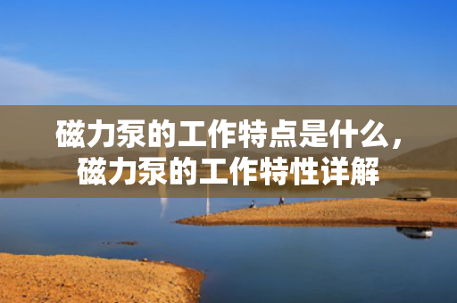 磁力泵的工作特点是什么，磁力泵的工作特性详解