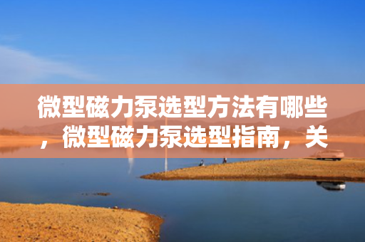 微型磁力泵选型方法有哪些，微型磁力泵选型指南，关键方法与步骤
