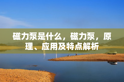 磁力泵是什么，磁力泵，原理、应用及特点解析