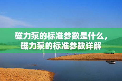 磁力泵的标准参数是什么，磁力泵的标准参数详解