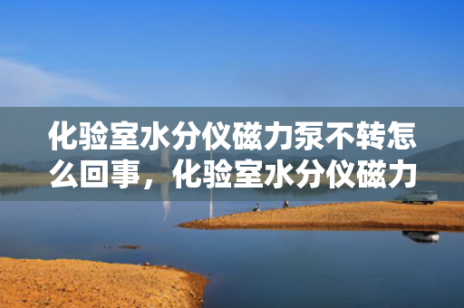 化验室水分仪磁力泵不转怎么回事，化验室水分仪磁力泵停转原因及解决方法