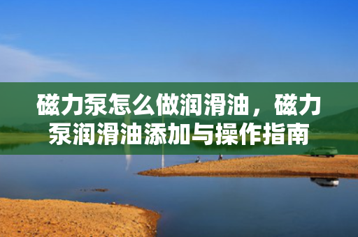 磁力泵怎么做润滑油，磁力泵润滑油添加与操作指南