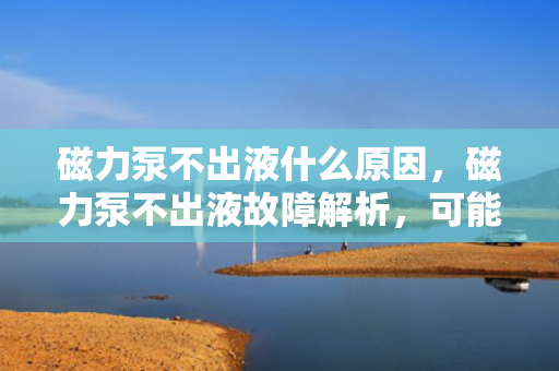 磁力泵不出液什么原因，磁力泵不出液故障解析，可能的原因与解决方案