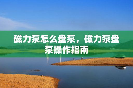 磁力泵怎么盘泵，磁力泵盘泵操作指南